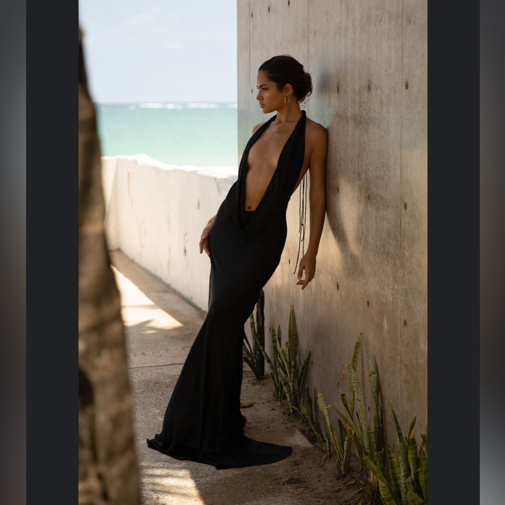 Very popular donyale dress from rat and boa